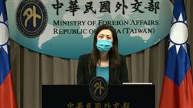 0614歐江安（圖／翻攝自外交部直播）