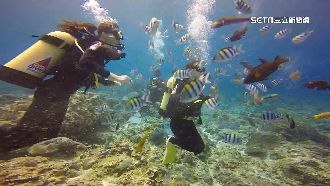 潛水當心！醫：蘭嶼溺水99%救不回