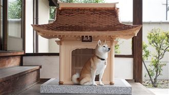 奢華狗屋要445萬　網淚：比我家貴