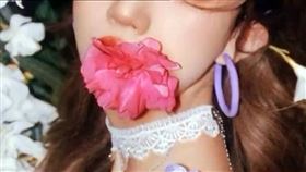 夾竹桃,河南省,鄭州市,安陵容,甄嬛傳,