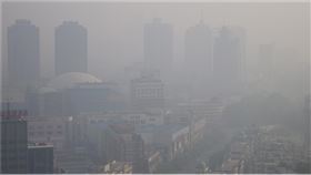 草根影響力新視野