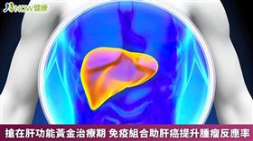 余明隆教授建議，若患者肝的功能狀況穩定，可選擇免疫療法合併抗血管新生標靶，除了效果佳之外，副作用較少，病人存活期也延長了。（圖／NOW健康製作；圖片來源／ingimage）