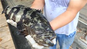 奉勸謝龍介：迎合中國數落台灣漁業 不會增加你的選票(圖/朱正軒提供)