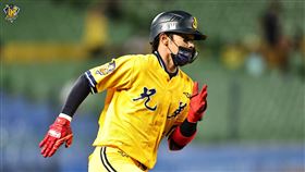 陳偉漢單場敲出4安猛打賞，帶領兄弟終止2連敗。（圖／中信兄弟）