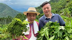 ▲。（圖／草地狀元提供）