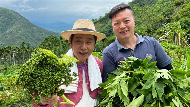 護肝神菜變台灣之光！達人曝長壽秘訣