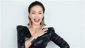 彭佳慧 索尼音樂提供