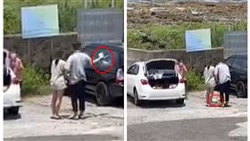 墾丁,虐貓,香蕉灣,喵星人,貓奴