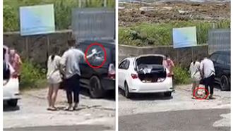 摔貓逼燙腳飼主找到了！貓咪現況曝光