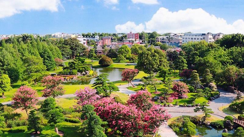 彰化「成美文化園」紫薇花季開跑！