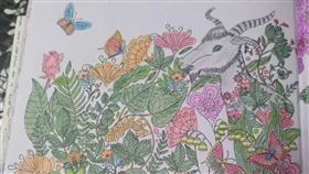 74歲阿嬤在家無聊！狂畫10本秘密花園（圖／翻攝自爆廢公社臉書）