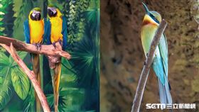 台北市立動物園，熱帶雨林區動物。（圖／網友吳祚叡授權提供）