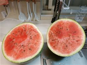 挑西瓜（圖／翻攝自Costco好市多 商品經驗老實說）
