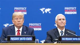 美國前總統川普（左）、前副總統彭斯（右）。（圖／翻攝自維基百科，版權屬公有領域）