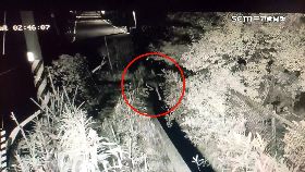 文 偷太陽能花1200