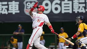 ▲林智勝在天母球場擊出292轟。（圖／味全龍球團提供）