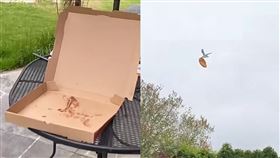 有網友分享，放在室外的披薩整塊消失了。（圖／翻攝自《Robert Tolppi》TikTok）