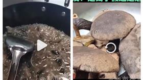 四川野菇中毒（圖／翻攝自都市報導微博）