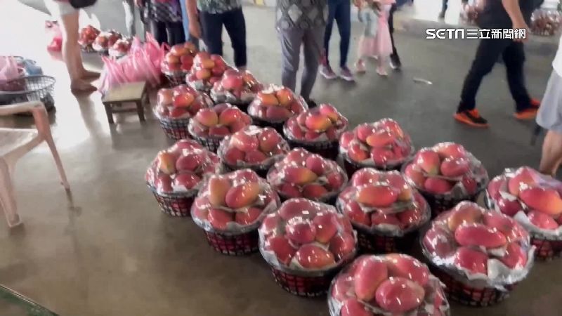 愛文芒果好貴！青果市場改小籃販售