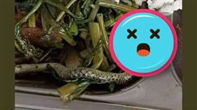  空心菜有蛇（圖／翻攝自爆廢公社）