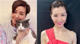 伍詠薇結婚僅13天，丈夫就過世了。（圖／翻攝自伍詠薇IG）