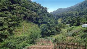 圖片/住展房屋網提供