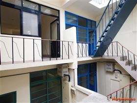 即日起至6/23 空軍三重一村4特色眷舍續行標租(圖/新北市政府)