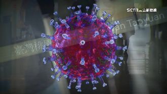 BA.4、BA.5恐侵肺部細胞