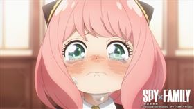 《間諜家家酒》（SPY× FAMILY）。（圖／木棉花提供）