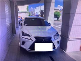 違停(圖/翻攝自飛天柯基警再一次詛咒世界)