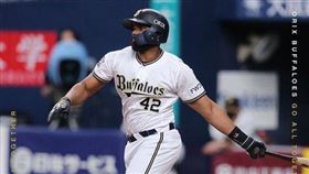 ▲Aderlin Rodriguez。（資料照／取自歐力士社群網站）