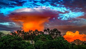 蘇再明攝影師 提供