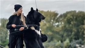 黑熊,啃咬,野獸