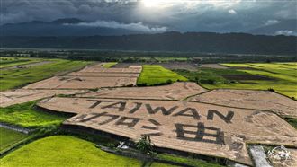 獨／水稻達人耕出台灣加油　絕美照曝