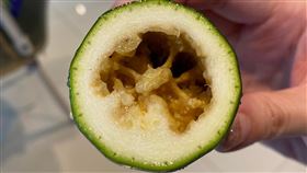 有網友在好市多買櫛瓜，兩天後切開見1幕嚇傻。（圖／翻攝自Costco好市多 商品經驗老實說 臉書）