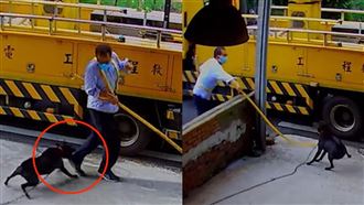 遭看門狗撲咬！台電員工揮棍砸石算帳