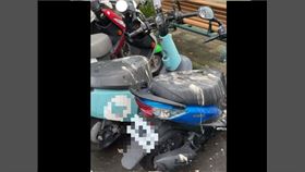 大笨鳥 機車 鳥屎（圖／翻攝自信義區兩三事）