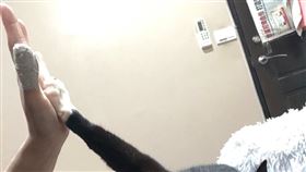 與飼主自在玩耍互動。（圖／翻攝自新北市官網）