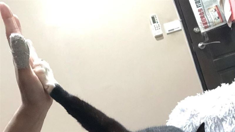 周倉面惡心善　命中註定要被女俠收服