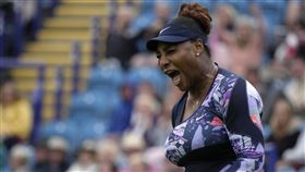 ▲小威廉斯（Serena Williams）世界排名跌到第1204名。（圖／美聯社／達志影像）