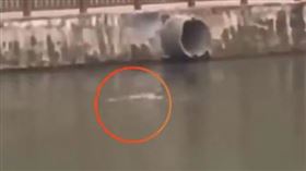 四川,中國,妹妹,救人,跳河（圖／翻攝自紅星新聞）