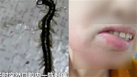 有網友吃桃子，竟發現裡面有蜈蚣。（圖／翻攝自微博）