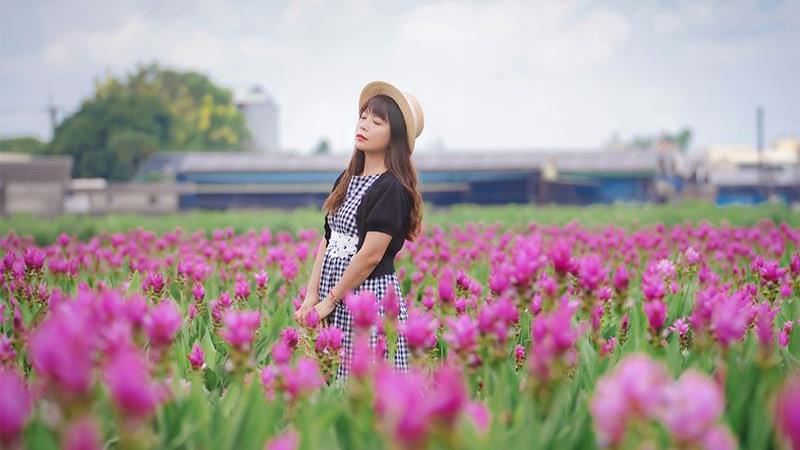 彰化新秘境！「薑荷花」免費入園觀賞