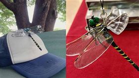 日本近期一款主打防蚊的「大蜻蜓吊飾」在網路上掀起討論。（圖／翻攝自巴士的報）