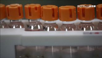 獨／專訪莫德納資深副　台據點籌備中