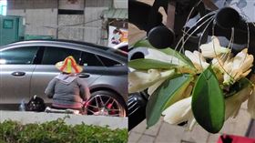  玉蘭花,身障,分隔島,香花(翻攝自 爆廢公社公開版)