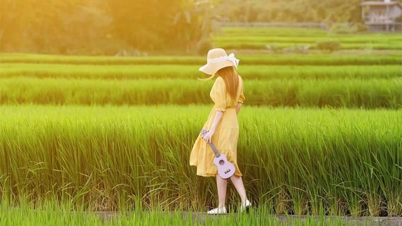 桃園「伯朗大道」百年楓樹如世外桃源