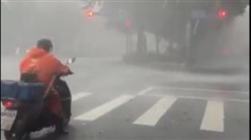 外送員大雨中等紅燈，期間還有椰子樹葉掉落 取自臉書