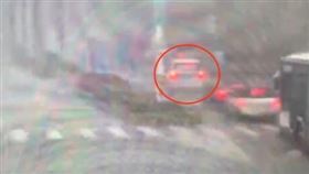 大王椰子樹葉掉落後砸中車窗玻璃。（圖／記者李依璇翻攝）