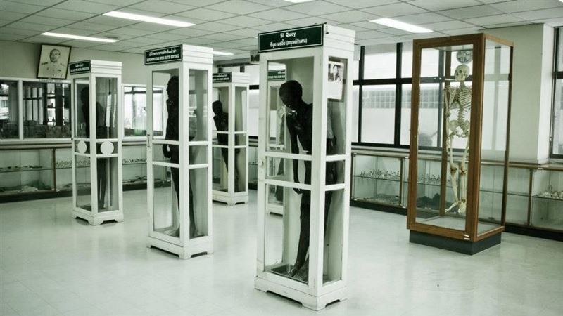 比南美館殭屍恐怖！這間全「真死人」